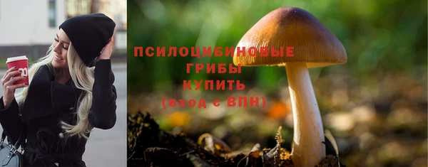 хмурый Коряжма