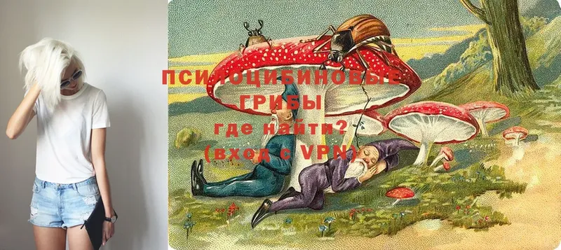 цены   Елец  Галлюциногенные грибы MAGIC MUSHROOMS 