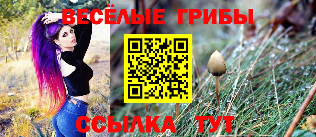 Галлюциногенные грибы мицелий Елец